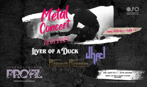 Metal Concert 18.01. (16.3 x 9.6 Zoll).png